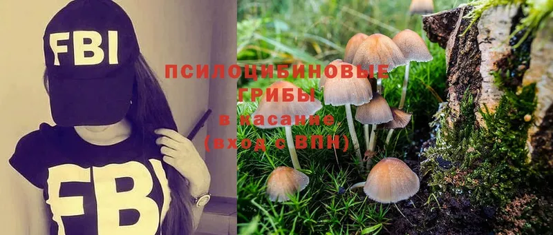 Псилоцибиновые грибы MAGIC MUSHROOMS  Канаш 